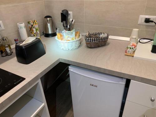 a kitchen with a counter top with a dishwasher at Pompei Luxury Suite in Pompei
