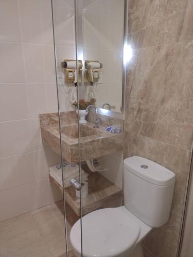 a bathroom with a toilet and a sink at Antonio's Hotel e Spa - Airport in Brasilia