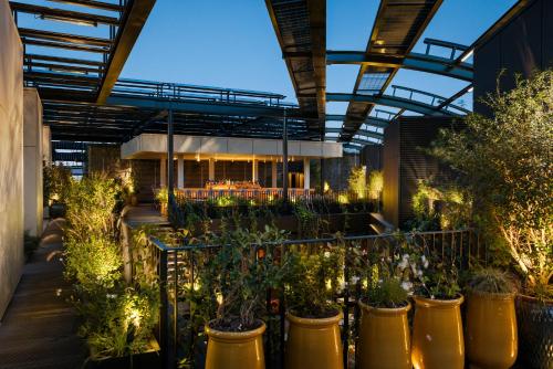 an indoor garden with potted plants in a building at Hôtel Madame Rêve in Paris