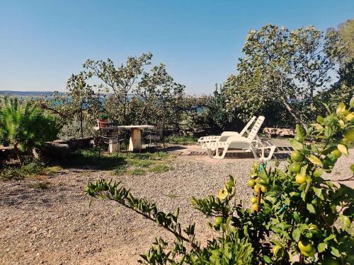 Holiday home in Starigrad-Paklenica 34262