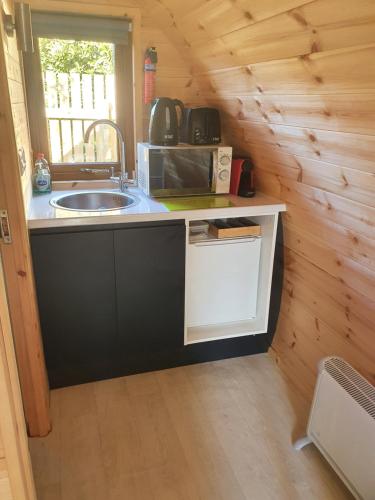 a kitchen with a sink and a microwave at Priory Glamping Pods and Guest accommodation in Killarney