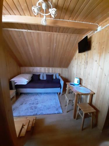 U Parów Sauna & Jacuzziにあるテレビまたはエンターテインメントセンター