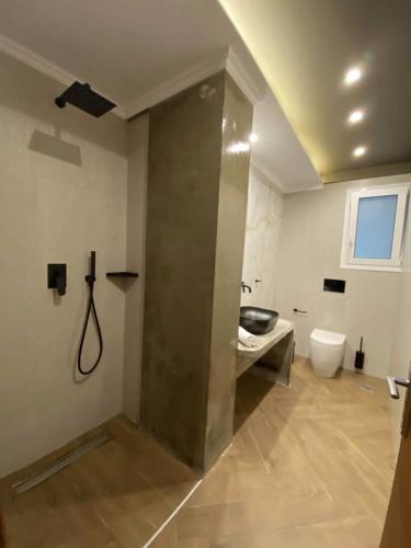 a bathroom with a shower and a sink and a toilet at FILEO ELEGANT LIVING in Veria