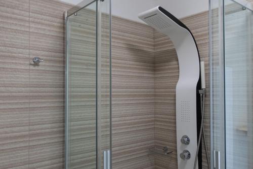 a shower with a glass door in a bathroom at Apollon-Artemis Apartments in Apollonia
