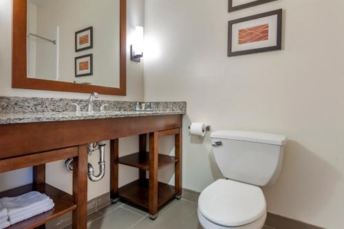 a bathroom with a toilet and a sink at Comfort Inn Apalachin - Binghamton W Route 17 in Apalachin