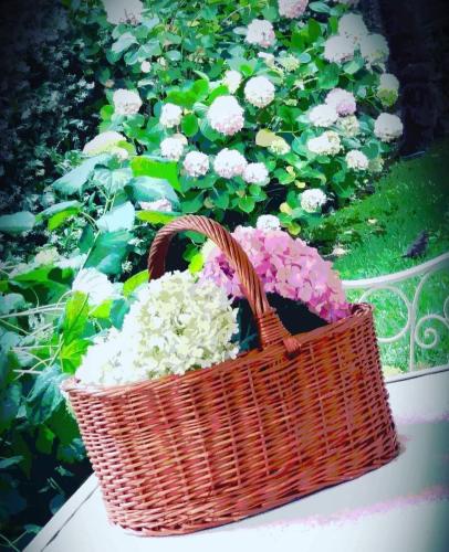a basket of flowers sitting on a table at Hotel Sant'Andrea in Santa Margherita Ligure