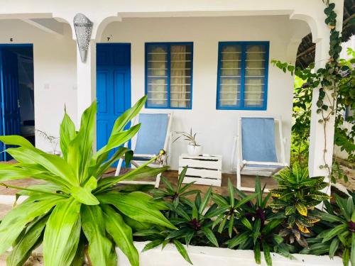 a house with blue doors and chairs and plants at Badolina Bungalows in Nungwi