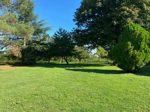 a field of grass with trees and a bush at Château La Gravière in Vertheuil-en-Médoc