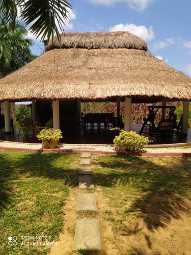 a hut with a thatched roof and a pathway at Casa Campo Emaus in Caucasia