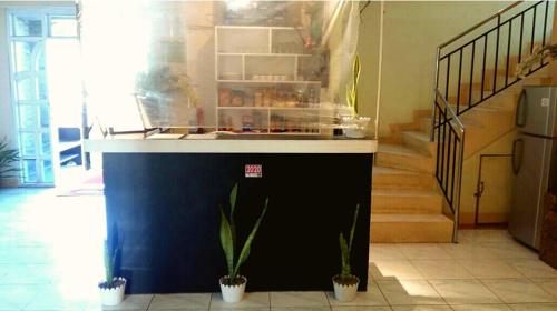 a counter in a room with two potted plants at JR Pension House in Baybay