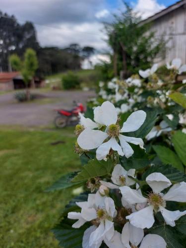 Um jardim no exterior de Pousada recanto do vinho