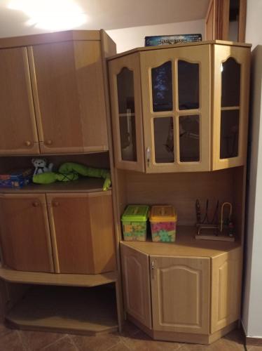 a cupboard and cabinets in a room at Erdey Apartman in Barcs