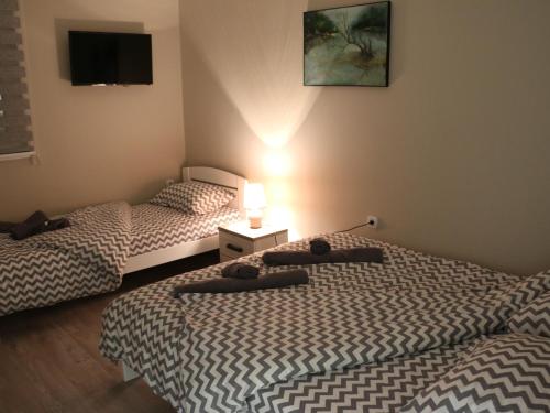two twin beds in a room with a tv at Apartman Petrov in Donji Milanovac