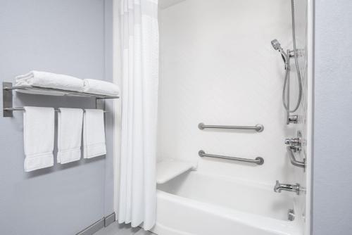 a bathroom with a shower and a bath tub with towels at Holiday Inn Odessa by IHG in Odessa