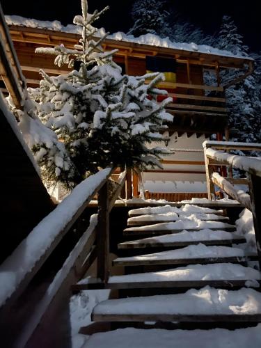a snow covered staircase in front of a house at Cabana Cota 1000 Arieseni in Arieşeni