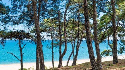 Gallery image of Blue Jasmine Hotel in Skala Kefalonias