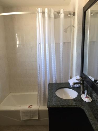 a bathroom with a sink and a shower and a sink at Skyways Hotel in Los Angeles