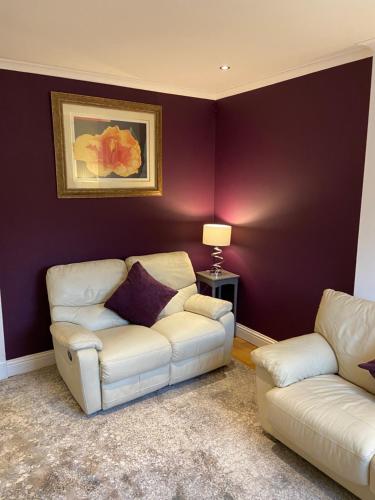 a living room with two white couches and a purple wall at Cheerful One bedroom cottage with parking space. in Glasgow