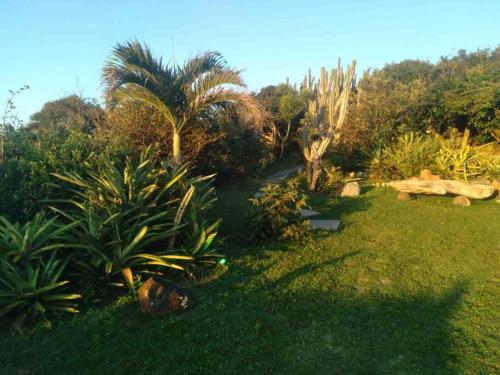 Taman di luar Chalé de Pedras no Pontal do Atalaia