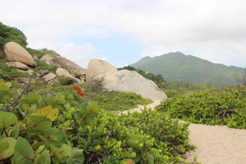 a path with rocks and plants on a mountain at HOSTAL MIRADOR dentro del parque tayrona in El Zaino