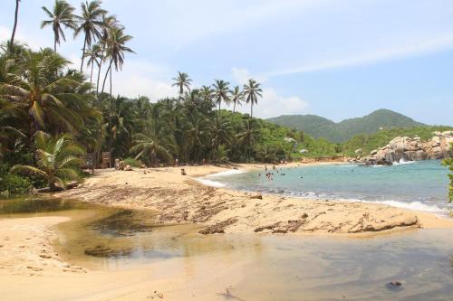 a beach with palm trees and people in the water at HOSTAL MIRADOR dentro del parque tayrona in El Zaino