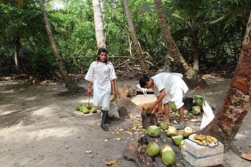 two men are standing near a pile of coconuts at HOSTAL MIRADOR dentro del parque tayrona in El Zaino
