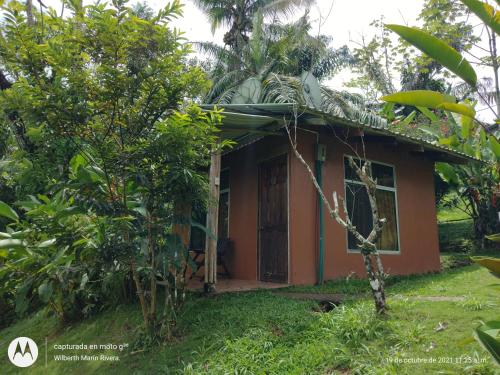 a small house in the middle of a forest at Hotel Mirador Osa in Mogos