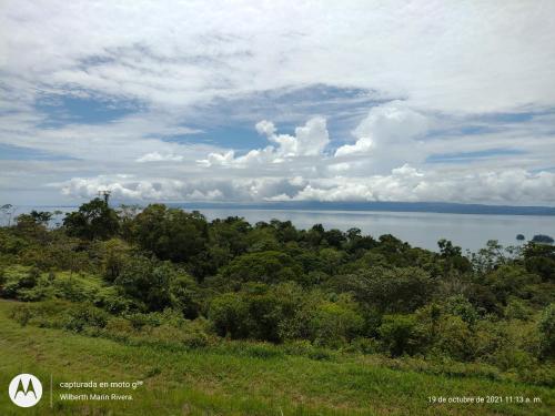 a view of the water from a hill with trees at Hotel Mirador Osa in Mogos