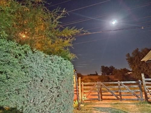 a large bush next to a fence at night at Sol de Belen in San José