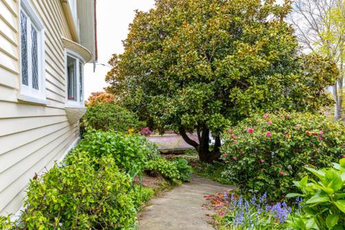 a garden next to a house with a tree and flowers at The Magnolia Villa CBD in Timaru
