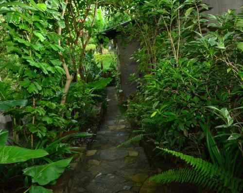 VIEW guesthouse & bistro at goyambokkaにある庭