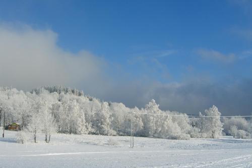 a field covered in snow with trees in the background at Korenov 1256 in Kořenov