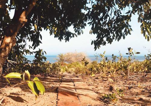 a dirt road with a tree and the ocean in the background at Mafu Haus in Inhambane