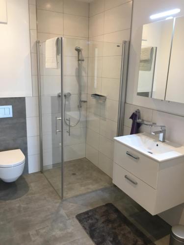 een badkamer met douche, wastafel en toilet bij Appartement Melanie in Wagrain