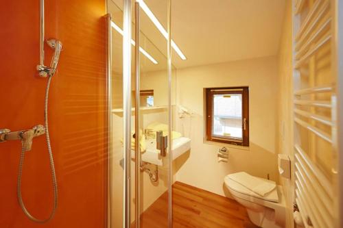 a bathroom with a shower and a toilet and a sink at Apartment in Flachau with a terrace in Flachau