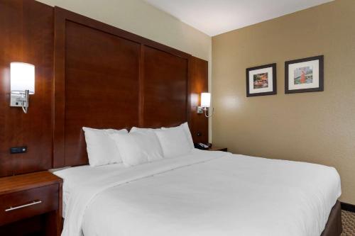 Katil atau katil-katil dalam bilik di Comfort Inn & Suites Near Six Flags & Medical Center