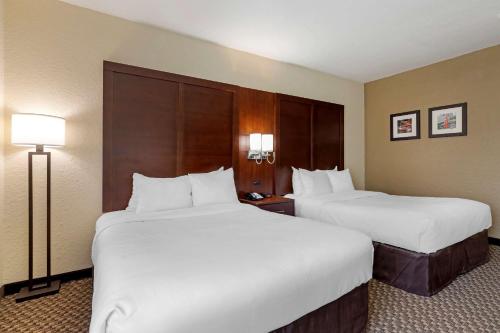 Katil atau katil-katil dalam bilik di Comfort Inn & Suites Near Six Flags & Medical Center