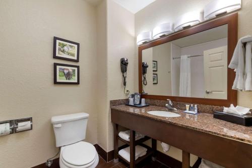 ein Badezimmer mit einem WC, einem Waschbecken und einem Spiegel in der Unterkunft Comfort Inn & Suites Near Six Flags & Medical Center in San Antonio