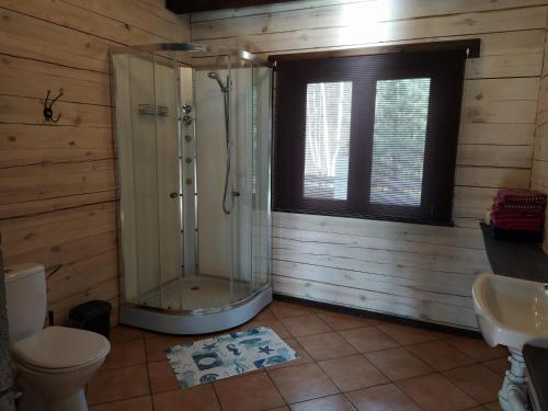 ein Bad mit einer Dusche, einem WC und einem Waschbecken in der Unterkunft Trakų vienkiemis in Daumilai