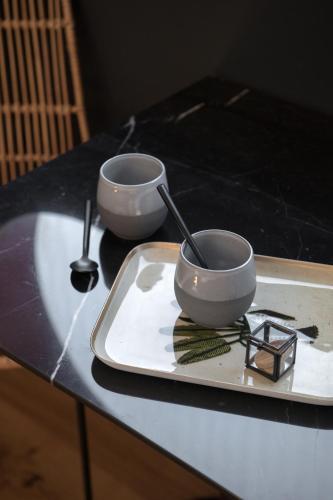 2 bols assis sur un plateau sur une table dans l'établissement LA PENICHE - Bed And Bicycle - Tournon, à Tournon-sur-Rhône