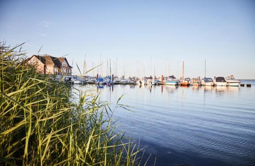 a group of boats docked in a harbor at Bades Huk Marina Hotel in Hohen Wieschendorf