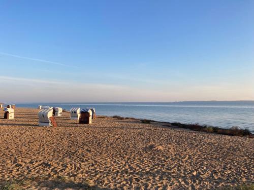 a beach with a row of chairs and the water at Bades Huk Marina Hotel in Hohen Wieschendorf