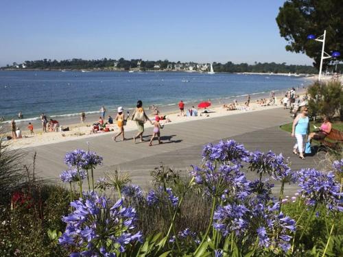 a group of people on a beach with purple flowers at Résidence Ti An Amiral in Bénodet