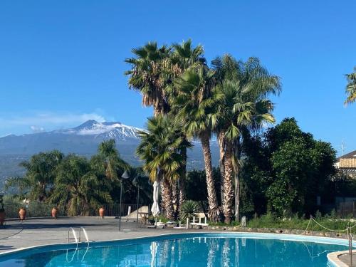 a pool with palm trees and a mountain in the background at Agriturismo Serra San Biagio in Calatabiano