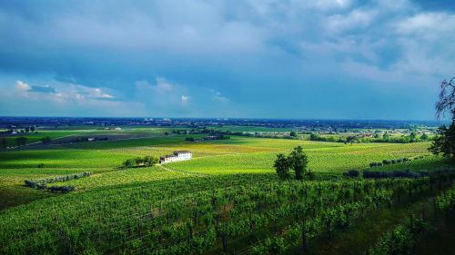 a green field with trees in the middle of it at Pie Castello in Susegana