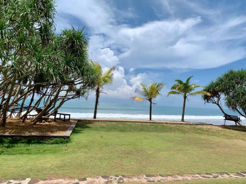 a park with palm trees and a bench on the beach at The Pleasure Kosgoda in Bentota