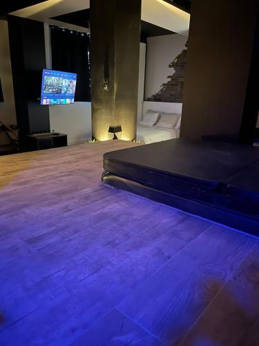 a bedroom with a bed and a tv in a room at La suite Grenoble spa jacuzzi et sauna privatif in Grenoble
