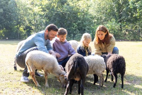a group of people with sheep in a field at Sunparks Kempense Meren in Mol