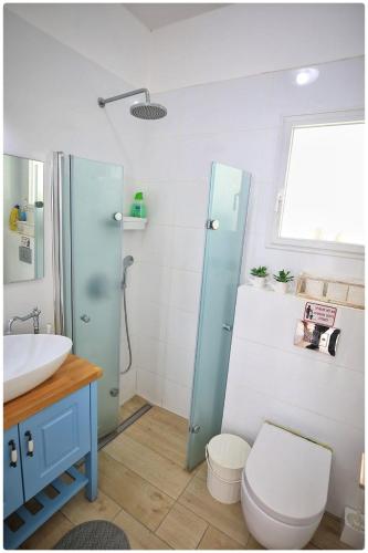 a bathroom with a shower and a toilet and a sink at סוויטת אדל in Bet Sheʼan