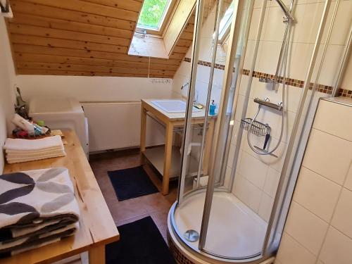 een badkamer met een douche, een wastafel en een tafel bij Ferienwohnung am Wald in Baiersbronn